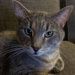 Meet your Posher, Jane